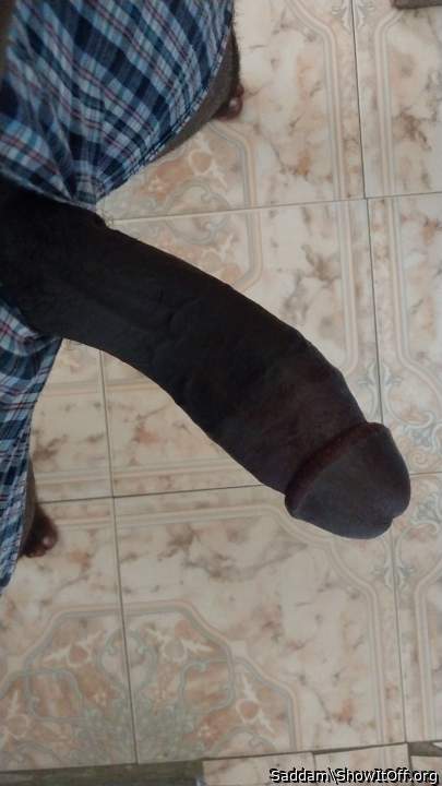 Adult image from Saddam