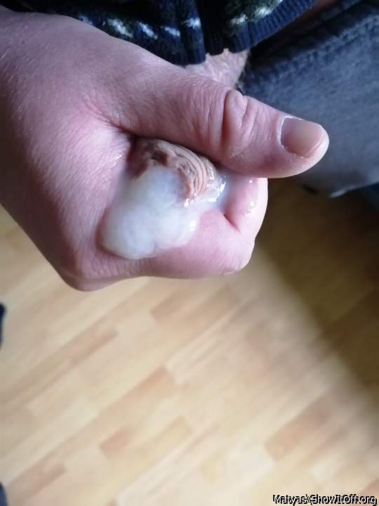 Adult image from Matyas