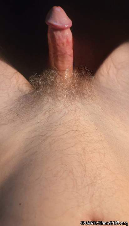 Adult image from JPHARD