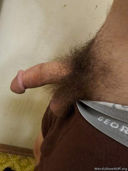 I just love all that hair with a beautiful penis!