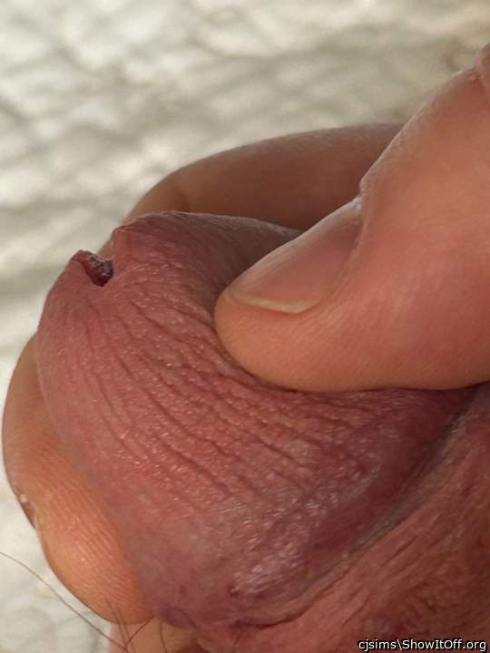 Adult image from cjsims