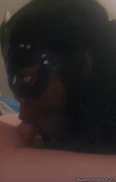 Adult image from Pequeno