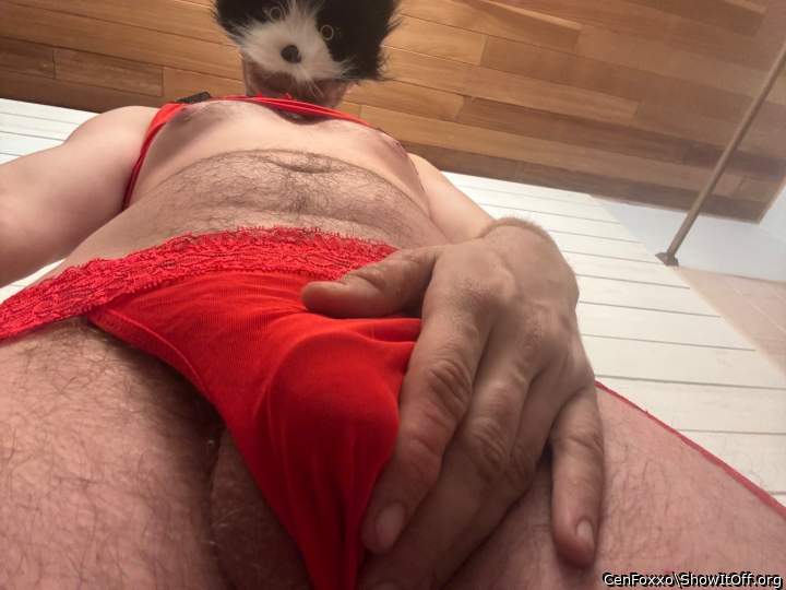 Adult image from CenFoxxo