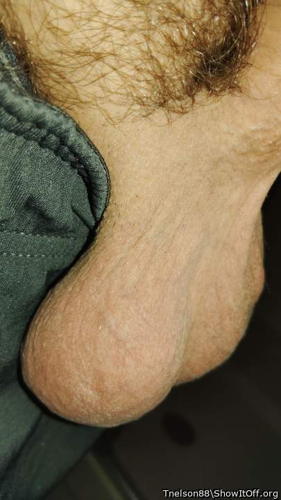 Adult image from Tnelson88