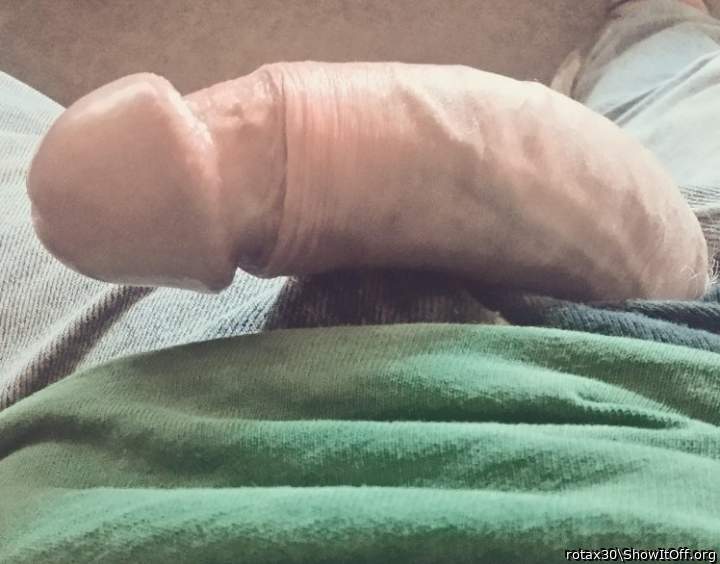 Adult image from rotax30