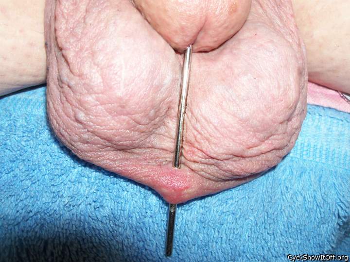 Adult image from Cye