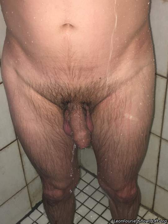 Adult image from LeonFourie