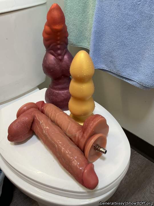 Which toy should I use?