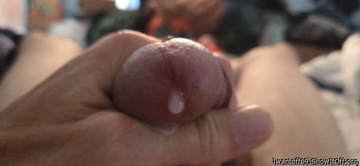 Adult image from Iwantoff69