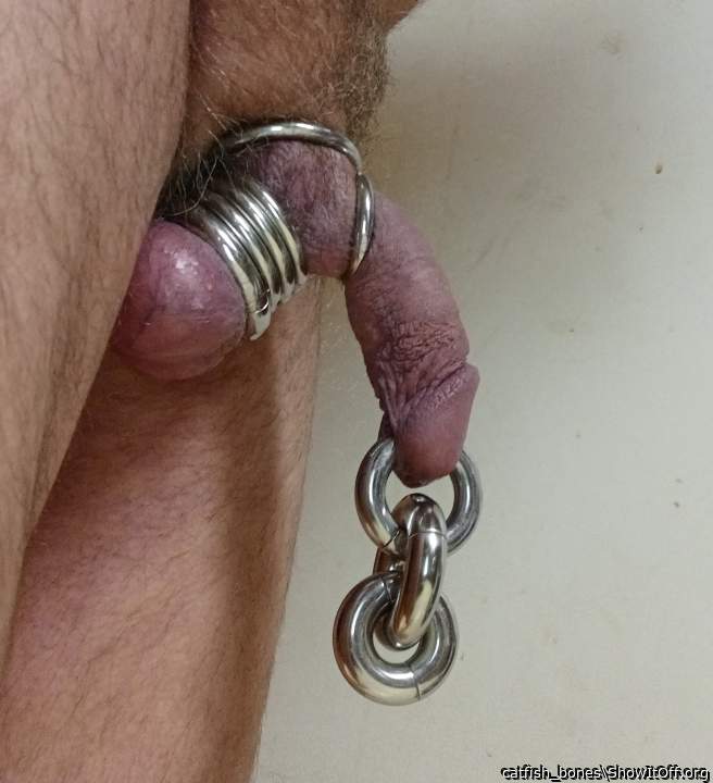 Wonderful cock adorned with some awesome hardware!      