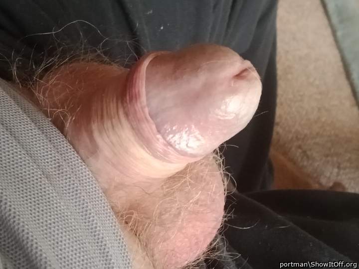 I want to suck your dick 