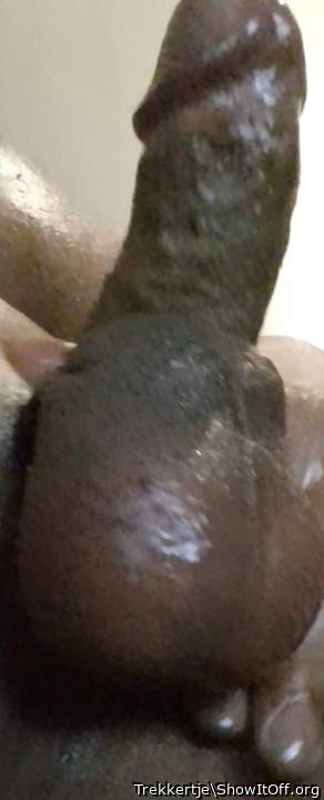 Adult image from Trekkertje