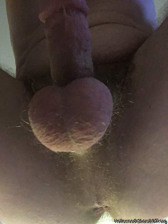 Adult image from Hellaweed