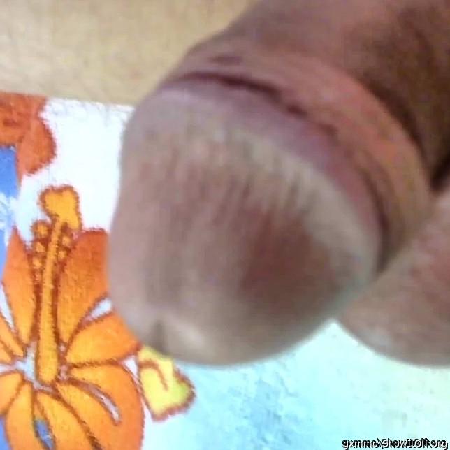 Adult image from gxmmo