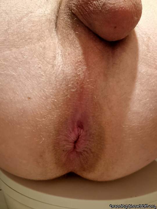 Lots of my ass in the restroom get ready for more!