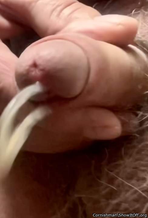 Adult image from Cornishman