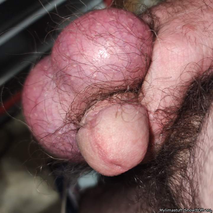 Adult image from Mylimastuff