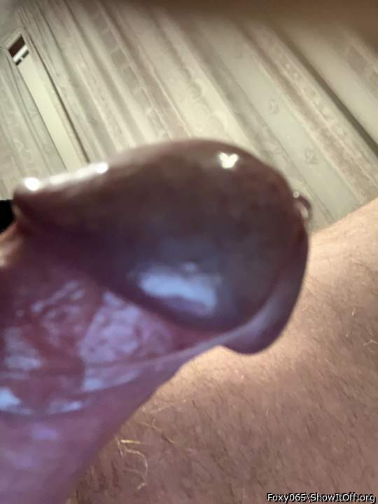 Adult image from Foxy065