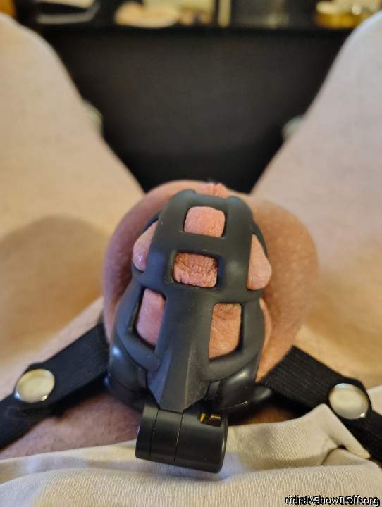 Adult image from ridist