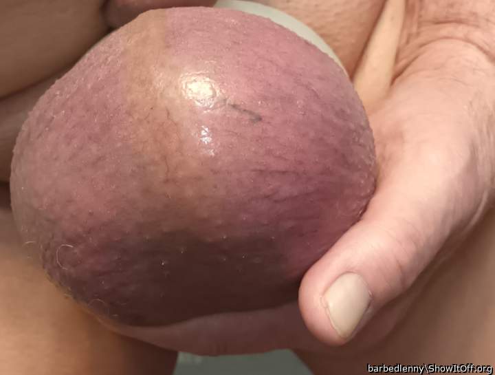 Adult image from barbedlenny