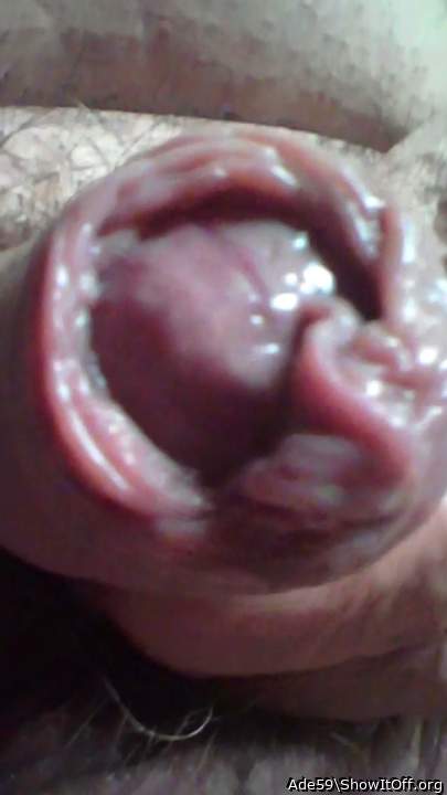 100% foreskin nibbling...until you beg for mercy, and restar