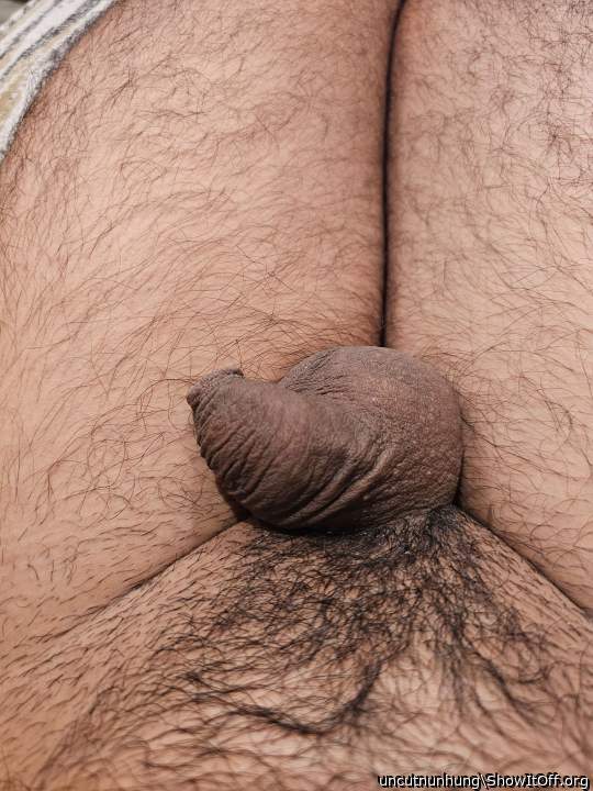 Adult image from uncutnunhung
