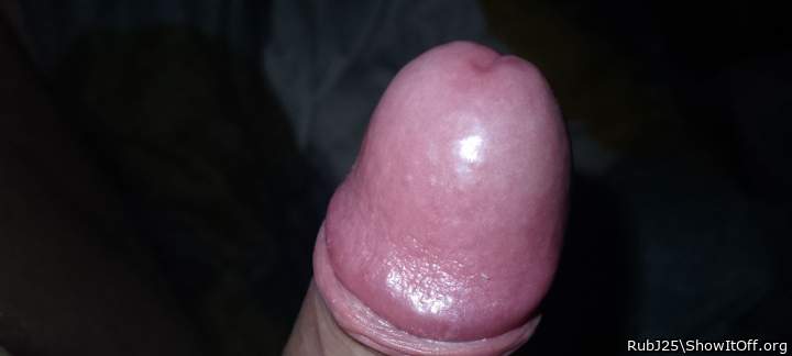 Adult image from RubJ25