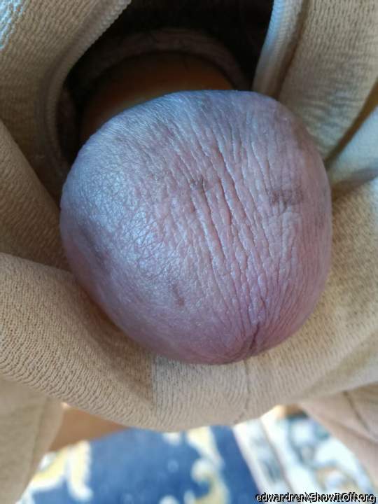 Adult image from edwardren