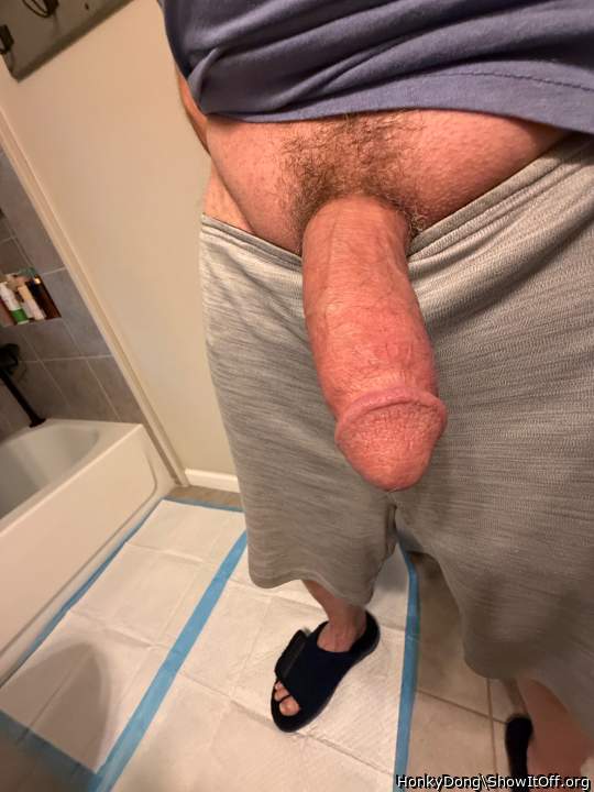 Adult image from HonkyDong