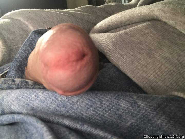 Adult image from Ollepung