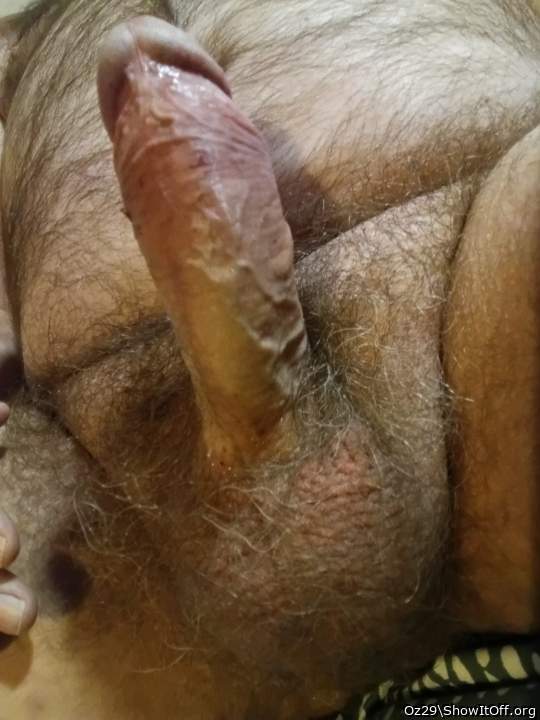 Adult image from Oz29