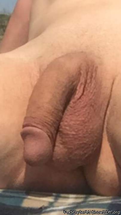 Flaccid penis