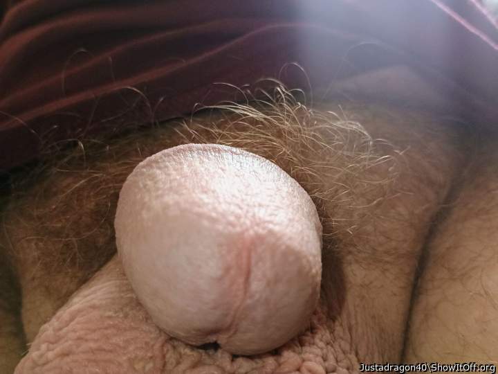 Adult image from Justadragon40