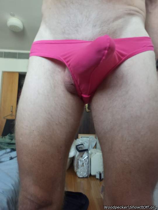 Adult image from Woodpecker