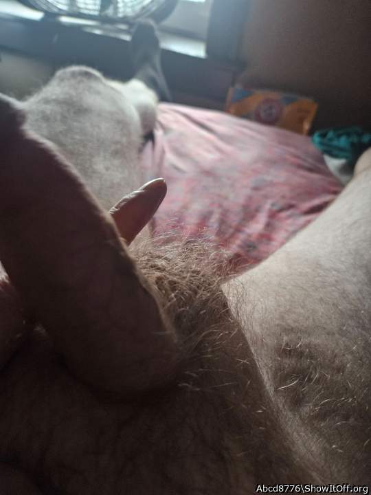 Adult image from Abcd8776