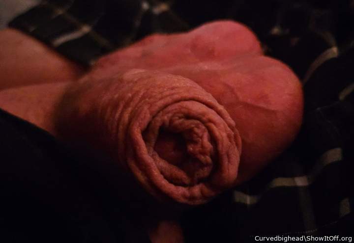 Adult image from Curvedbighead