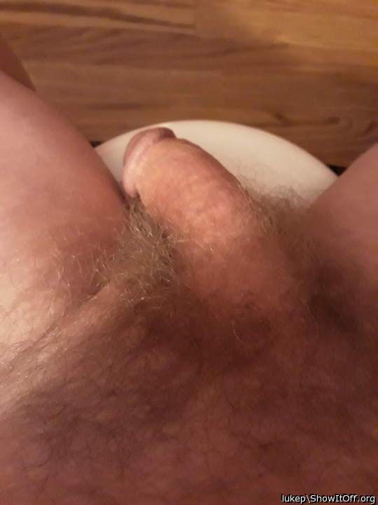 Nice looking hairy cock