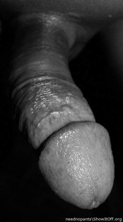 Adult image from neednopants