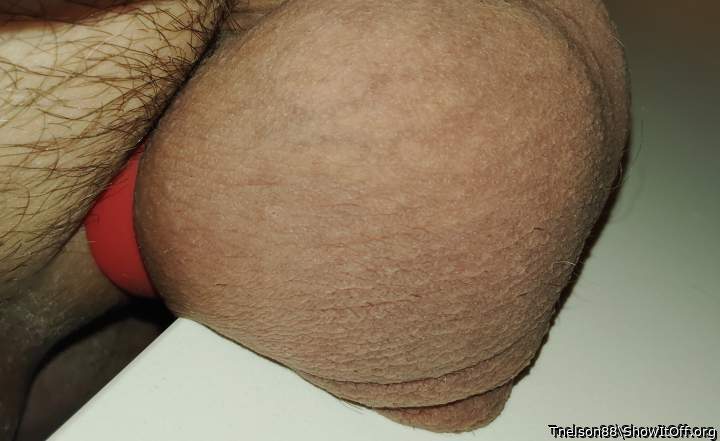 Adult image from Tnelson88