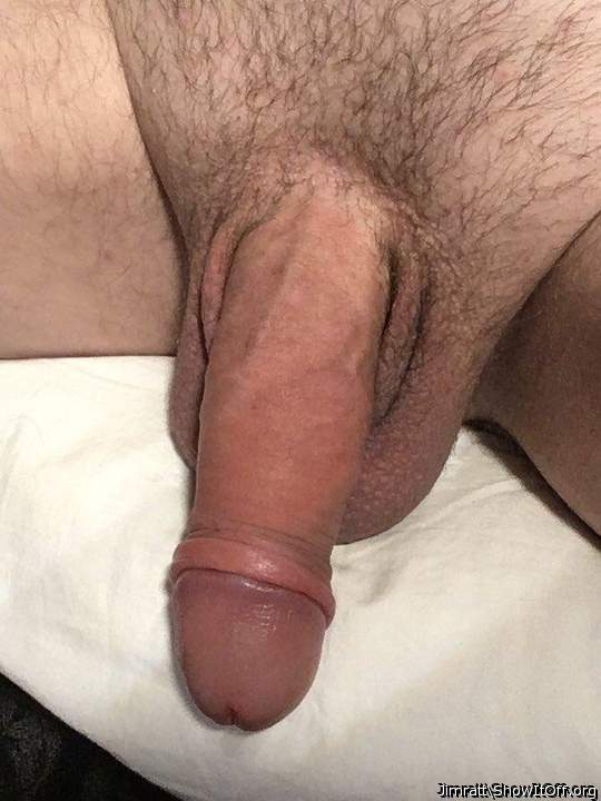 Big fat pumped cock