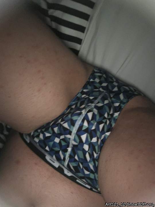 Adult image from Ant101_10