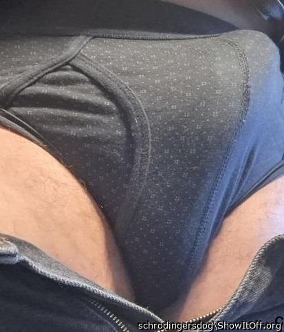 Adult image from schrodingersdog
