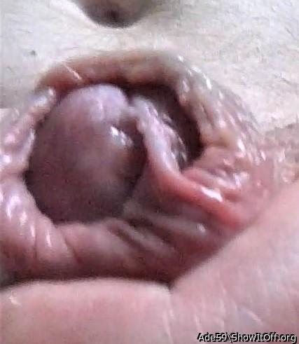 Seem to have my tongue in your fskin...