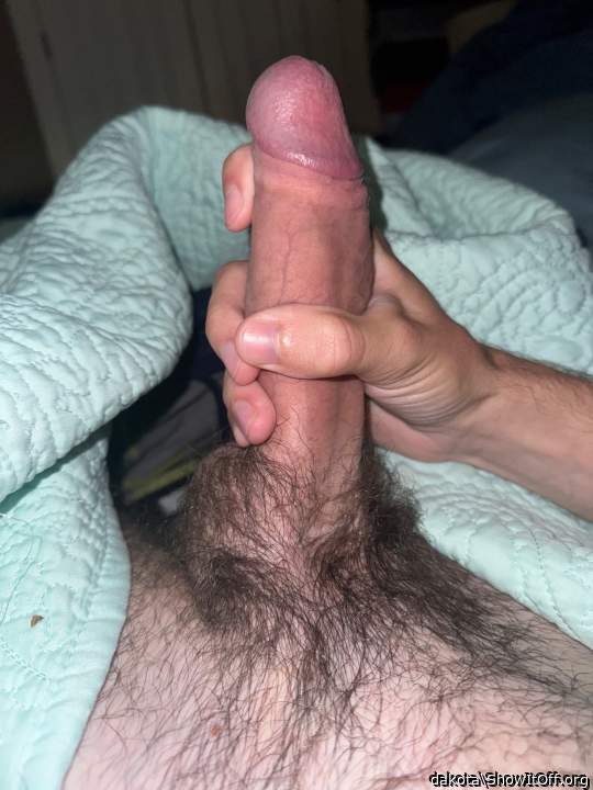 Beautiful hairy dick 