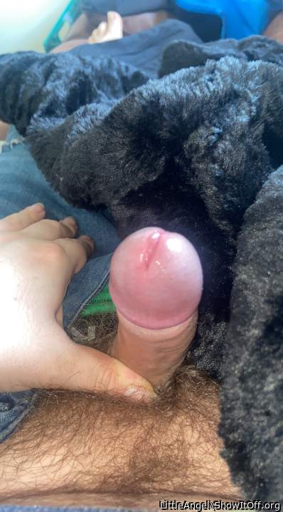 Adult image from LittleAngel