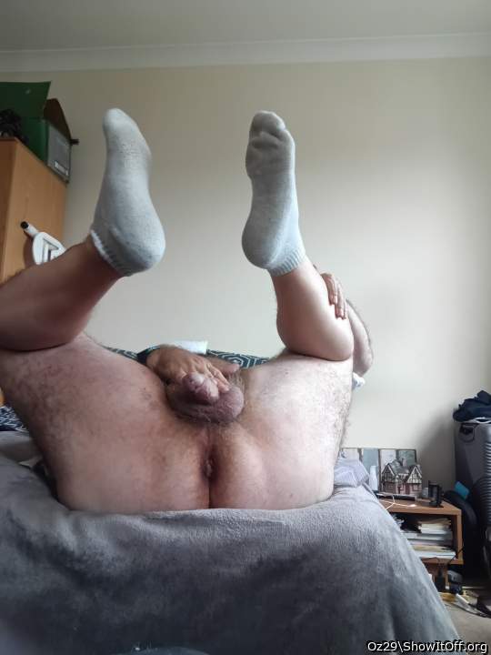 Adult image from Oz29