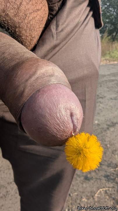 Adult image from Biker