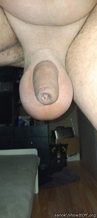 Adult image from sanok