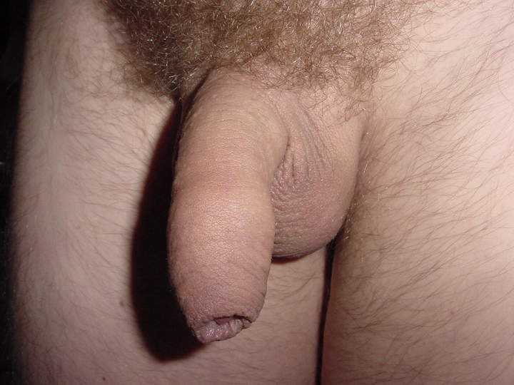 Adult image from uncutdick