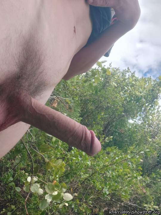 Adult image from kh4rris895